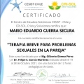 Acercar imagen: certificate 13