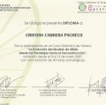 Acercar imagen: certificate 8