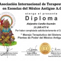Acercar imagen: certificate 7