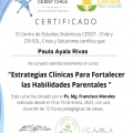Acercar imagen: certificate 4