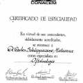 Acercar imagen: certificate 5