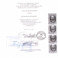 Acercar imagen: certificate 2