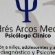 Andrés Arcos Medina