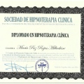 Acercar imagen: certificate 5