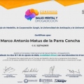Acercar imagen: certificate 9