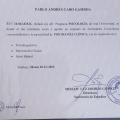 Acercar imagen: certificate 2