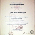 Acercar imagen: certificate 6