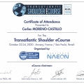 Acercar imagen: certificate 9