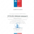Acercar imagen: certificate 17
