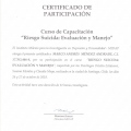 Acercar imagen: certificate 9