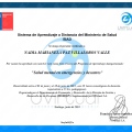 Acercar imagen: certificate 5