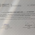 Acercar imagen: certificate 1