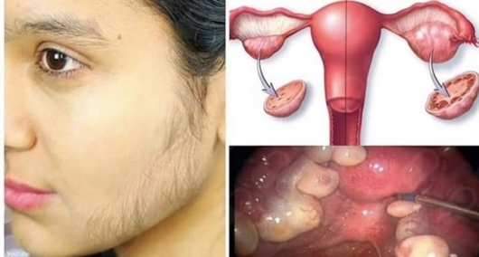 Linda Viviana Manuel Alvarez-8