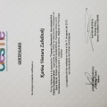 Acercar imagen: certificate 8