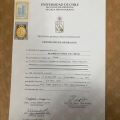 Acercar imagen: certificate 13