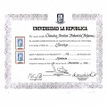 Acercar imagen: certificate 7