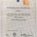 Acercar imagen: certificate 2
