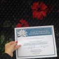 Acercar imagen: certificate 6