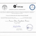 Acercar imagen: certificate 2