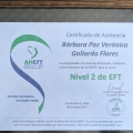 Acercar imagen: certificate 10