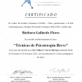 Acercar imagen: certificate 6