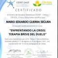 Acercar imagen: certificate 28