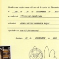 Acercar imagen: certificate 4