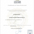Acercar imagen: certificate 9