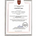 Acercar imagen: certificate 5