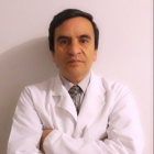 Prof. Luis Salas Oyarce