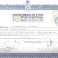 Acercar imagen: certificate 5
