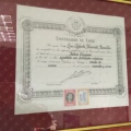 Acercar imagen: certificate 3