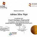 Acercar imagen: certificate 2
