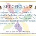 Acercar imagen: certificate 13