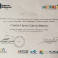 Acercar imagen: certificate 7