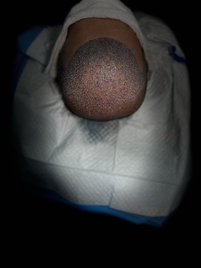 Victor Ferraz Marques-1