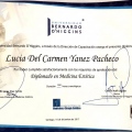 Acercar imagen: certificate 11
