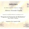Acercar imagen: certificate 17