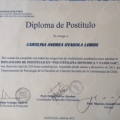 Acercar imagen: certificate 1