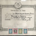Acercar imagen: certificate 5