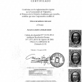 Acercar imagen: certificate 6
