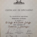 Acercar imagen: certificate 1