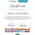 Acercar imagen: certificate 1