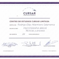 Acercar imagen: certificate 20