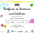 Acercar imagen: certificate 6