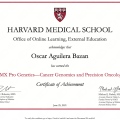 Acercar imagen: certificate 3