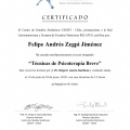 Acercar imagen: certificate 11