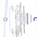 Acercar imagen: certificate 14