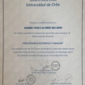 Acercar imagen: certificate 4