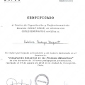 Acercar imagen: certificate 26